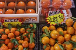 2020中国柑橘产业年报出炉，所有柑橘类水果价格均有所上扬？