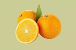 冰糖橙栽培技术手册（完全版）