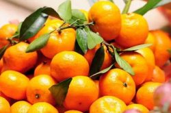 柑橘无人收购价格走低，种植户应考虑拓展销售途径