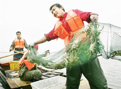 渔民捕捞螃蟹图片