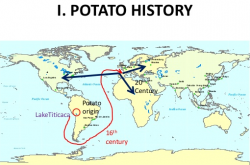 学农新知：马铃薯的历史溯源