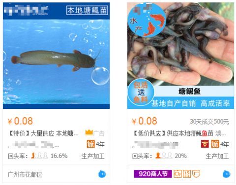 塘角鱼鱼苗价格