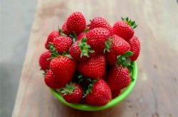 草莓什么时候熟 成熟时间以及成长习性