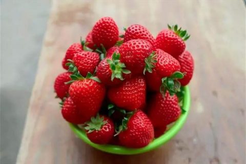 艳丽草莓