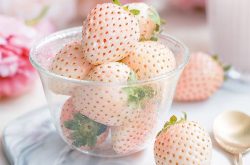 日本白草莓的种植技术及市场前景