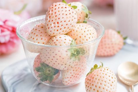 日本白草莓