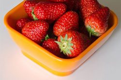 港丰草莓品种介绍