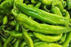 青椒的种植过程，青椒种植需要注意什么？