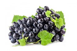 什么葡萄品种最好 优质葡萄品种推荐