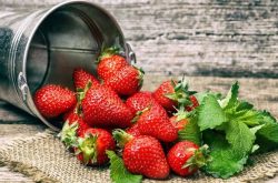 栽培草莓的时候如何施肥？