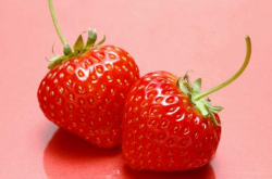 食用草莓霉斑病怎样处理