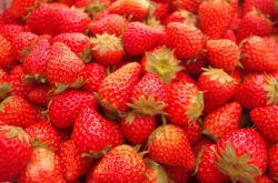 草莓白粉病打药有用吗？