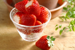 草莓炭疽病药筛选怎么做？