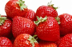 掌握草莓施肥技术有什么用？