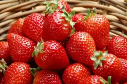 草莓红中柱根腐病灌多菌灵根有用吗？