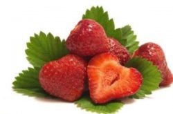 草莓的种植及施肥技术是怎样的？