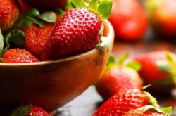 花店买的草莓苗要怎么种植？