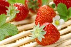 草莓病毒病症状的防治