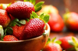 草莓苗需要怎么种植？