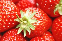 温室草莓冬季怎么施肥