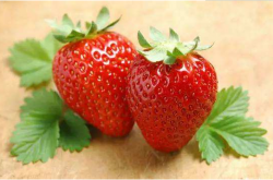草莓叶柄红是什么病？