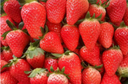 草莓苗期施肥的方法和技巧