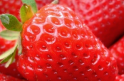 如何治疗草莓茎基病？