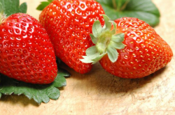 草莓白粉病使什么药可以预防？