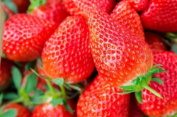 草莓如何施肥增加甜度？