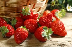 加强对草莓炭疽病的识别与防治