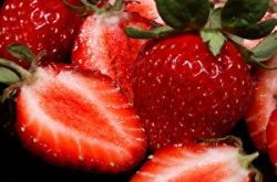草莓黄叶病的防治措施