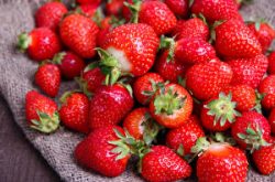 草莓茎枯病怎么防治？