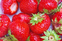 草莓轮斑病如何用药？