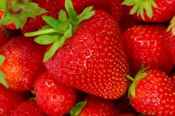种草莓苗用什么土比较好？