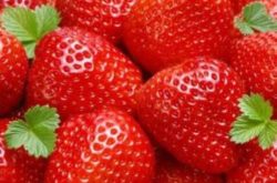 阳台种草莓怎么施肥?