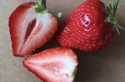 草莓空心病预防措施有哪些