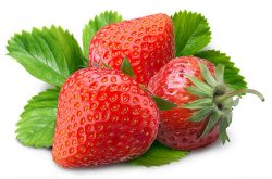 盆栽草莓可以陆地种植吗