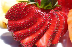 如何种植草莓幼苗？