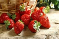 大棚草莓疫病防治办法是什么？