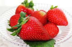 草莓枯萎病有几种症状