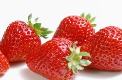 怎么给大棚草莓授粉呢？