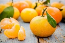 广西最适宜种植的柑橘品种有哪些？