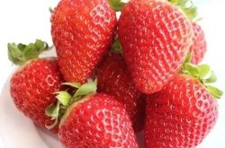 草莓死棵是什么病