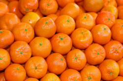 有机柑橘种植国家标准