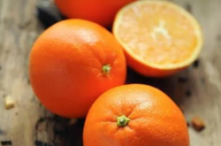 宜昌柑橘幼苗怎么种植