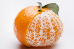 上海有几个区种植柑橘