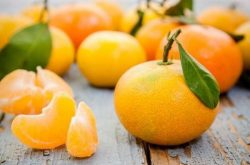柑橘抗旱如何做