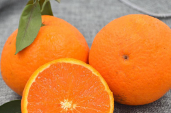 柑橘怎样种植才甜