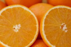 种柑橘好还是种橙子好