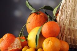 怎样种植出优质柑橘？